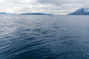 Sailing a yacht in Norway