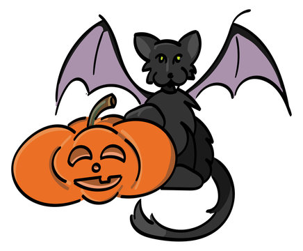 Jack-o-Lantern with Black Bat Cat