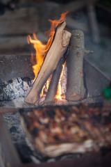 Bonfire. Fire wood. Grilling and cooking fire. Woodfire with flames. 