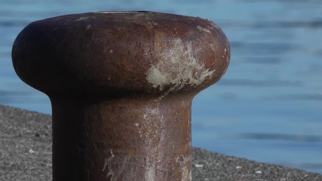 係留杭　クローズアップ