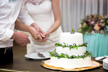 Obraz na płótnie Canvas Жених и невеста разрезае торт