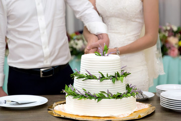 Obraz na płótnie Canvas Жених и невеста разрезает торт