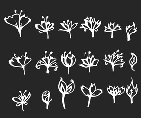Fototapeta na wymiar Set of flower doodles vector line on chalkboard eps10