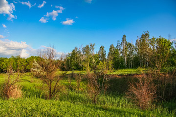 Taurian steppe near the Galyuki pond