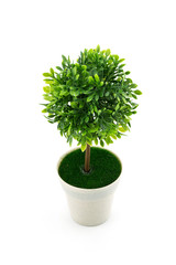 Small artificial tree in a pot isolated in white background. Concept image for interior design and decoration of home and office.