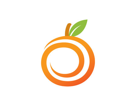 Orange and Fruit Logo