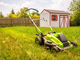 Cordless lawn mower mowing grass in back yard with shed and fence