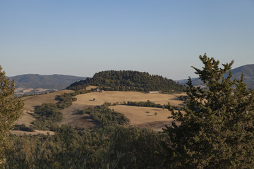 Toskanische Landschaft im Spätsommer