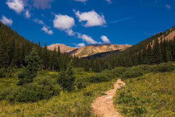 Naklejka na ściany i meble Mountain trail, green meadow and distant mountains, Colorado. USA