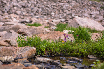Colorado Mountain Lake Panorama in the Rocky Mountains Glacier lake, USA.