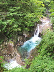 Fototapeta na wymiar 西沢渓谷貞泉の滝