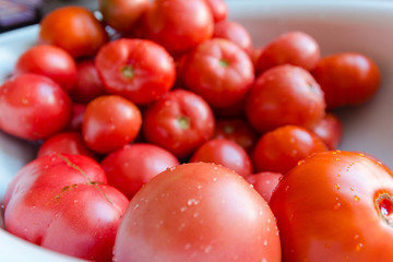Red tomatoes
