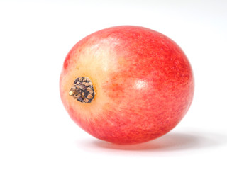Ripe red grape. One berry isolated on white background.