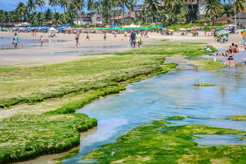 Beaches of Brazil - Porto de Galinhas.