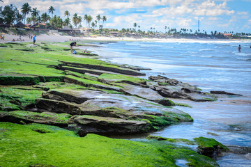 Beaches of Brazil - Porto de Galinhas.