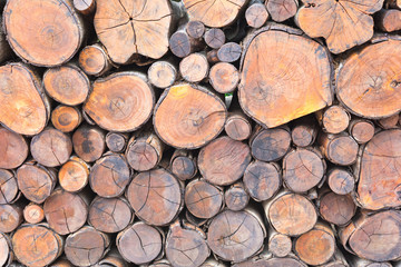 wood background