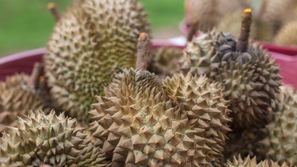 Naklejka na ściany i meble Durian in the market