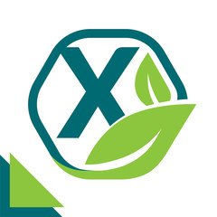 abstract logo icon leaf concept, environment, healthy, green technology with combination of letter X