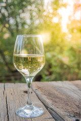 White wine on the wooden board in the garden