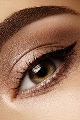 Naklejka premium Close-up macro of beautiful female eye with perfect shape eyebrows. Clean skin, fashion naturel make-up. Good vision