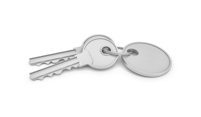 3d rendering of two isolated silver keys on a key ring with label