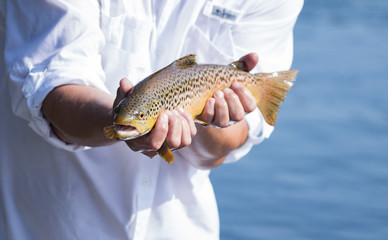 Man holding Brown trout