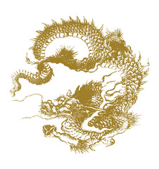 traditional dragon illustration