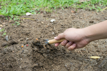 Close up female hand planting seed into ground soil , ecology growth concept background, planting concept, start up