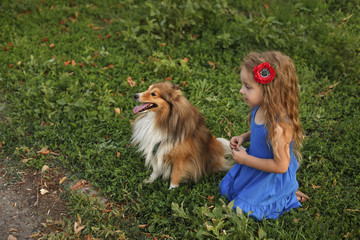 Fototapeta na wymiar Little girl with a dog Sheltie