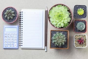 Notebook with pencil calculator and topview cactus on brown background copyspace.