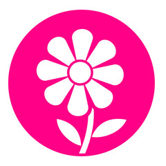 flower pink circle icon