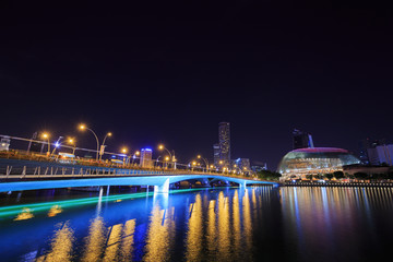 Fototapeta na wymiar Jubilee Bridge of Singapore at night