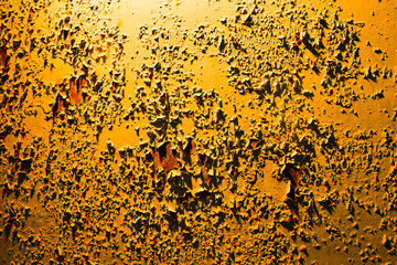 Old rusty metal in golden light as background