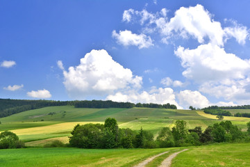 Field, rural road and landscape, Beskid Niski, Poland - obrazy, fototapety, plakaty