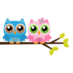 Owls on a branch