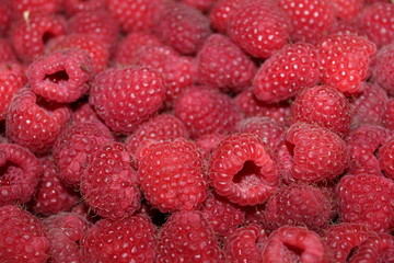 raspberry