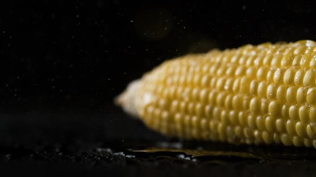 Camera follows fresh row sweet corn. Shot with high speed camera, phantom flex 4K. Slow Motion.
