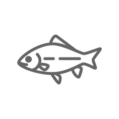 Simple fish and carp line icon. Symbol and sign vector illustration design. Editable Stroke. Isolated on white background