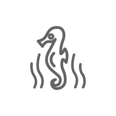Simple seahorse line icon. Symbol and sign vector illustration design. Editable Stroke. Isolated on white background