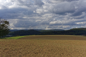 Fototapeta na wymiar farmland on a late summer day
