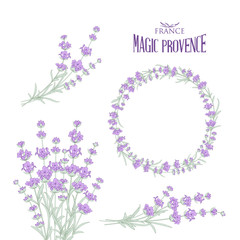 Set of lavender flowers elements. Collection of lavender wreaths, bouquets and branches on a white background. Vector Botanical illustration bundle.