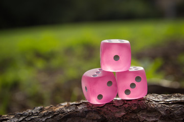 dice