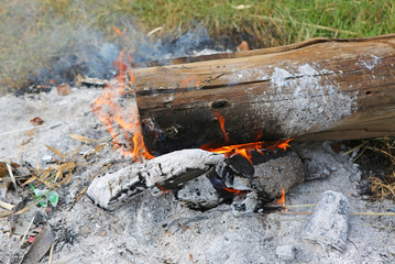 Fire on wood trunk.