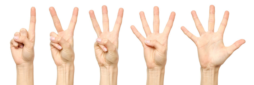 Set of counting female hand sign isolated