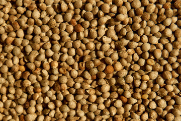 A close look at the perilla.