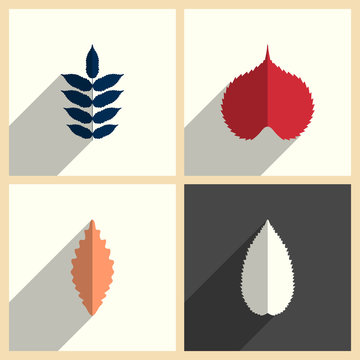 Leaves set of flat icons with shadow. Vector illustration