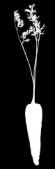 carrot silhouette on black background