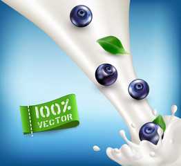Vector ripe, blueberries falling in milk. Milk splash with berries isolated on blue background. Template for advertising yogurt, for promotion of dairy products