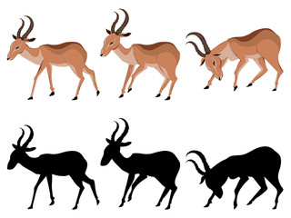 Fototapeta premium Cute Cartoon Antelope