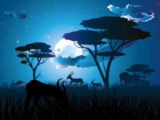 Night Landscape with Antelopes - obrazy, fototapety, plakaty